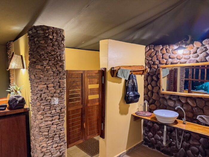 Rustic bathroom interior with stone walls, wooden door, and unique sink design.