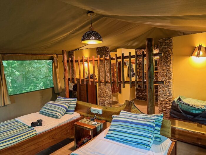 Safari tent interior with two beds and rustic decor.