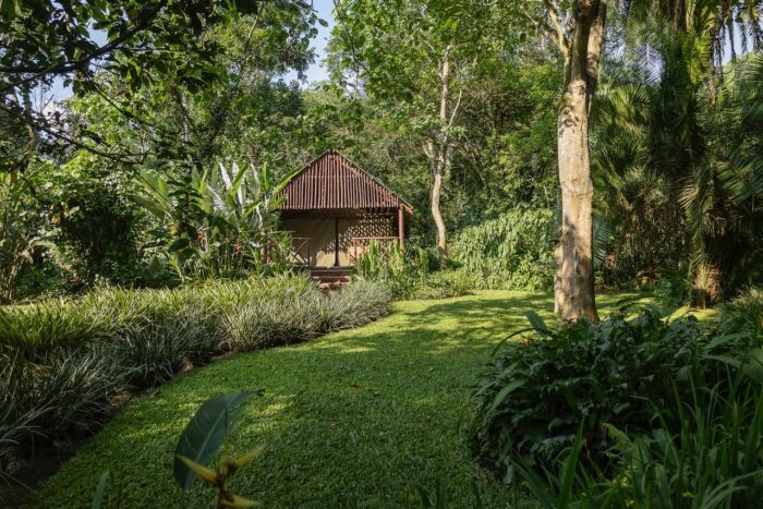 Lush Uganda garden with a rustic wooden cabin nestled among trees.